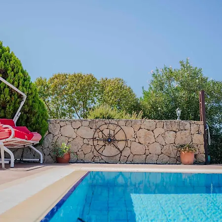 Georgina With Private Pool And Sea View Villa Vavilas